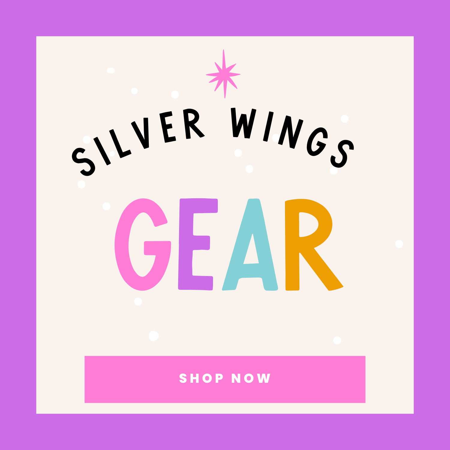SW - Accessories