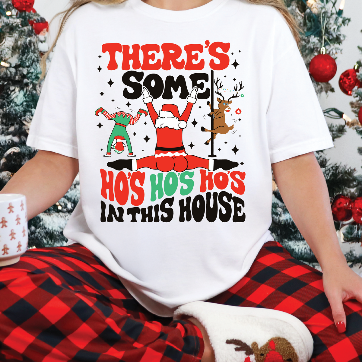 There's Some Ho, Ho, Ho's, In This House - DTF Transfer